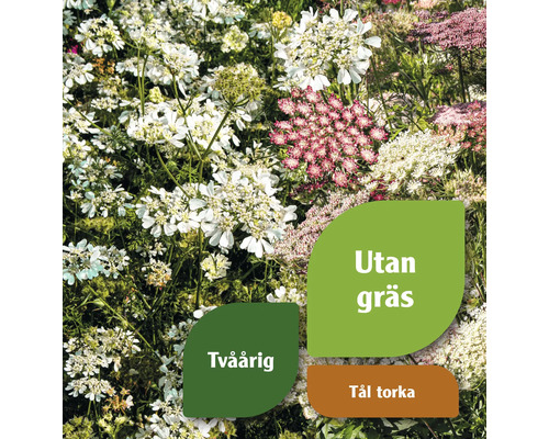 Blomsteräng med olika blommor och indikationerna ''Utan gräs'', ''Tvåårig'' och ''Tål torka''.