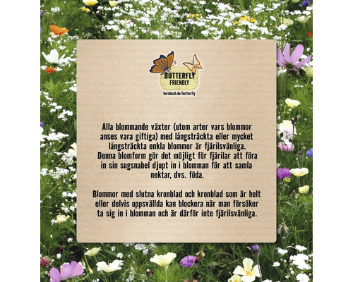 Information om hur man designar en fjärilsvänlig trädgård