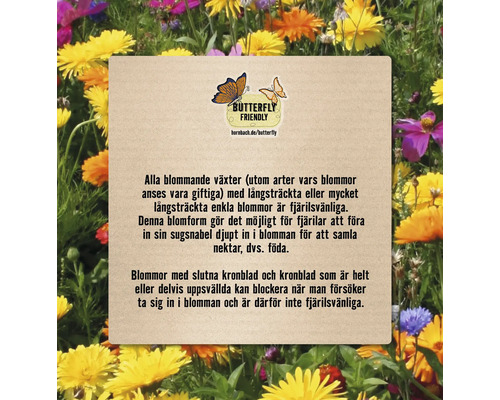 Information om fjärilsvänlighet hos blommor