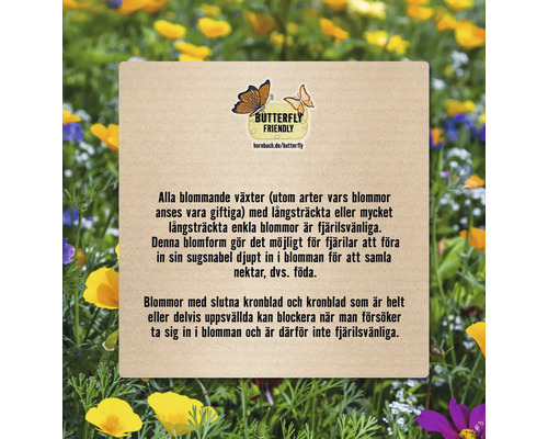 Informationstavla med text om hur fjärilsvänliga växterna är