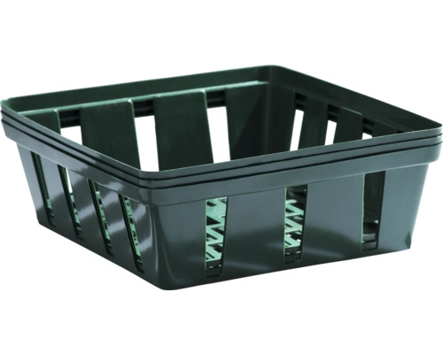 Plastkorg med kvadratisk form och perforerade väggar