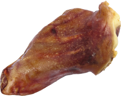 Grisöra som hundtugg