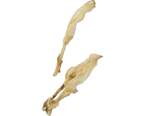 Två sparrisstjälkar