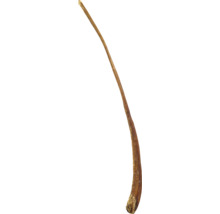 Torkat tuggodis för hundar av nöthud