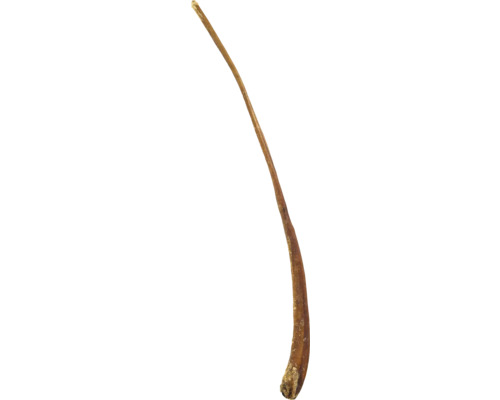 Torkat tuggodis för hundar av nöthud