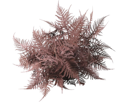 Konstgjord ormbunke i kruka