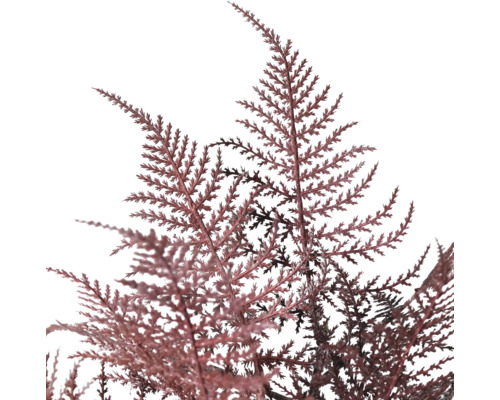 Närbild av en konstgjord cypress