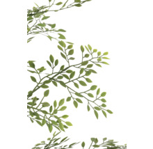 Gren med gröna blad