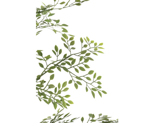 Gren med gröna blad