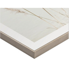 Närbild av en inramad bild med växtmotiv