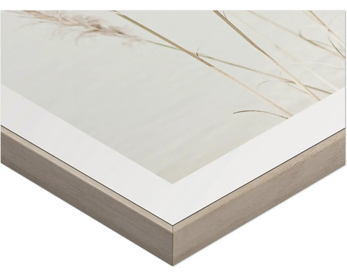 Närbild av en inramad bild med växtmotiv