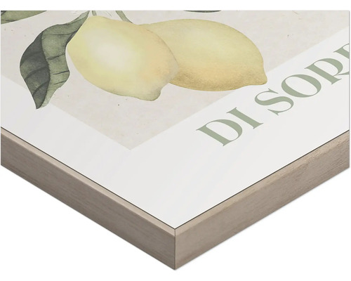 Detaljvy av ett inramat konsttryck med citronmotiv