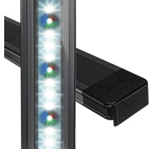 Akvariumbelysning med LED-lampor