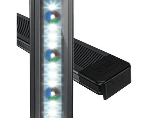 Akvariumbelysning med LED-lampor