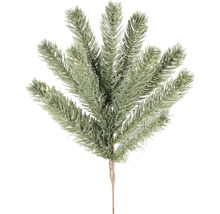 Dekorativ grangren för juldekorationer