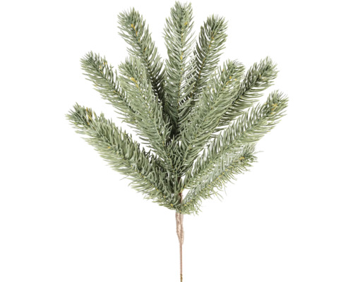 Dekorativ grangren för juldekorationer