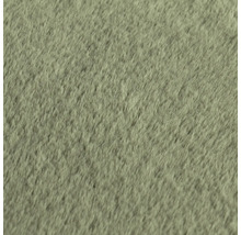 Närbild av en matta med kort lugg