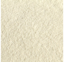 Närbild av en matta med kort lugg