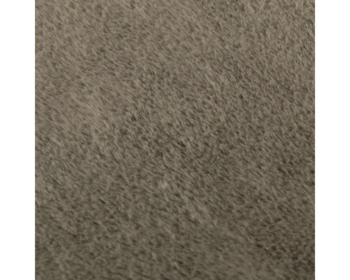 Närbild av en matta med kort lugg