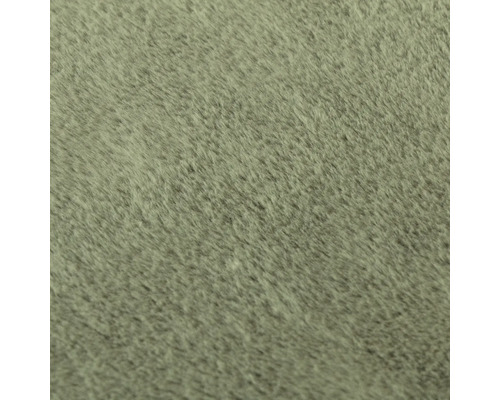 Närbild av en matta med kort lugg