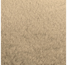 Närbild av en matta med kort lugg