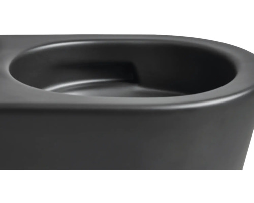 Detaljbild av en svart toalett.