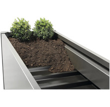 Metallodlingslåda med jord och plantering
