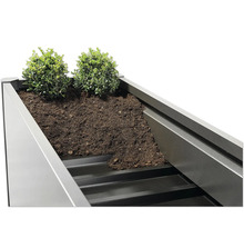 Detaljvy av en upphöjd rabatt med jord och plantering