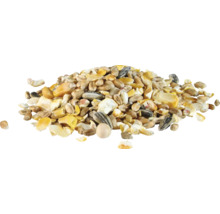 Hög med olika spannmålskorn och solrosfrön