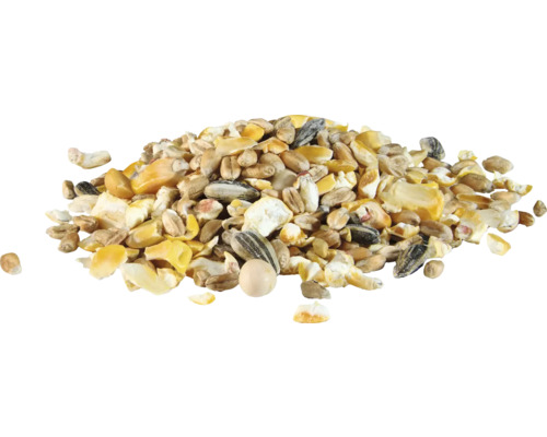 Hög med olika spannmålskorn och solrosfrön