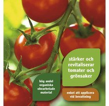 Tomater på plantan med information om organiska ingredienser och enkel applicering