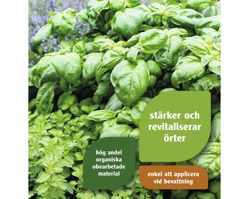 Örtplantor med inskriptionen stärker och vitaliserar örter