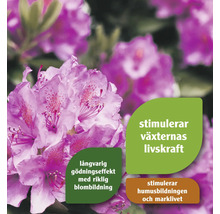 Närbild av rhododendronblommor och produktinformation om främjande av växternas livskraft, långvariga gödningseffekter och stimulering av humusbildning och markliv