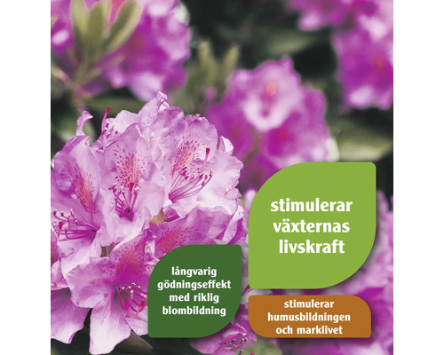 Närbild av rhododendronblommor och produktinformation om främjande av växternas livskraft, långvariga gödningseffekter och stimulering av humusbildning och markliv