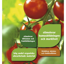 Tomatplanta med information om tillväxt, humusbildning, organiska material och skördeförbättring