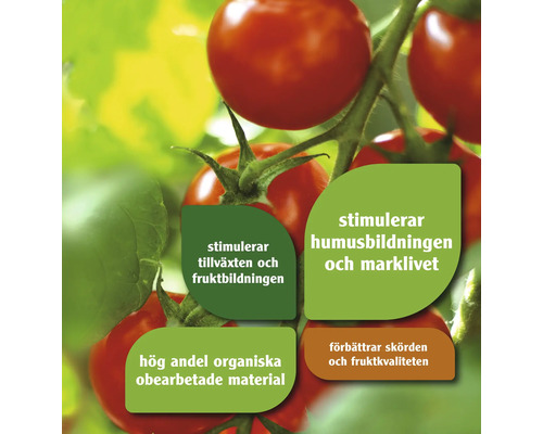 Tomatplanta med information om tillväxt, humusbildning, organiska material och skördeförbättring