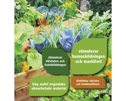 Grönsaksträdgård med växter och information om tillväxt, humusbildning och skörd