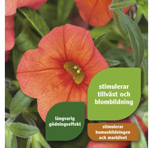 Blomma med information om tillväxt, blomning och gödningseffekt