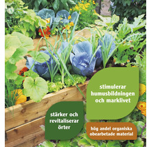 Pallkrage med olika grönsaker som kål och sallad