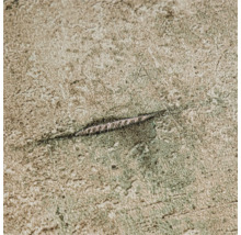 Detaljvy av en tapet med trästruktur