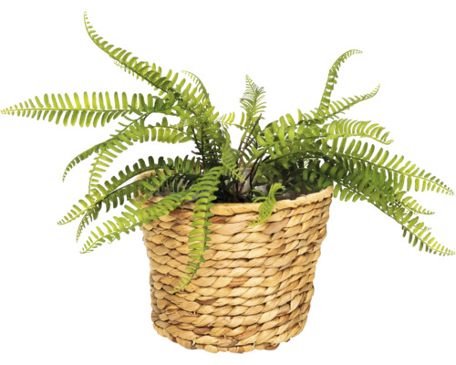 Konstgjord ormbunke i en flätad korg