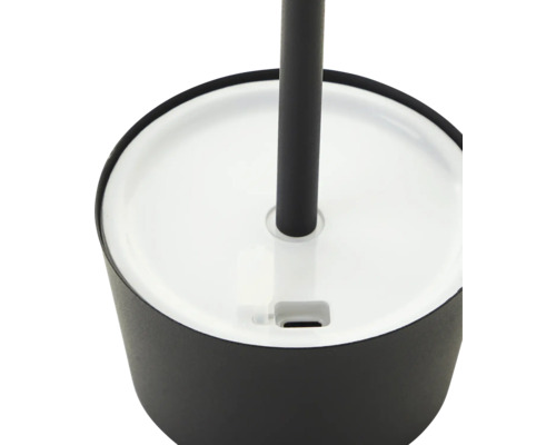 Detaljbild av en toalettborste med hållare