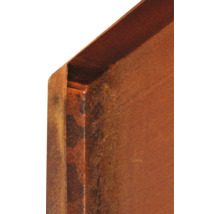 Detaljvy av en rostig stålplåt