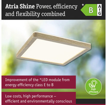 Atria Shine LED-taklampa med energieffektivitetsklass B