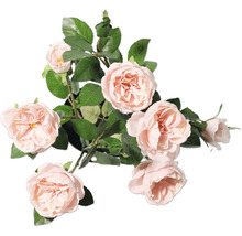 Dekorativ ros med blad i kruka