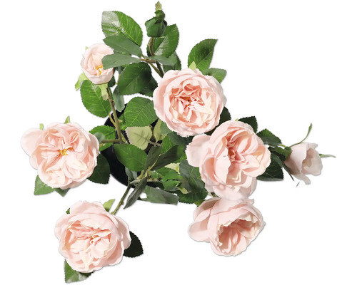 Dekorativ ros med blad i kruka