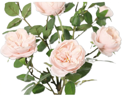 Bukett med fina rosblommor och gröna blad