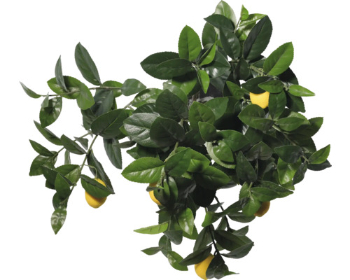 Konstgjord citronträd med blad och frukter