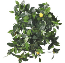 Konstgjord citronträd med gröna blad och citroner