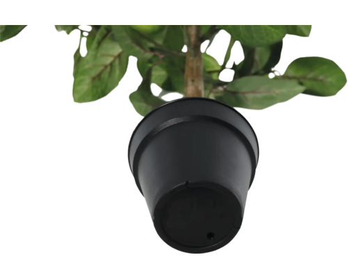 Konstgjord växt i svart kruka